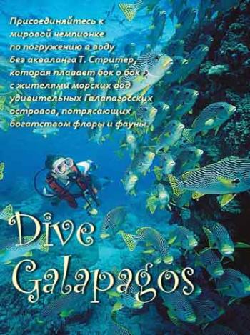 BBC:    / : Dive Galapagos VO