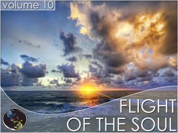 VA - Flight Of The Soul vol.10