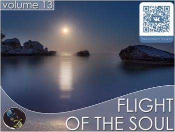 VA - Flight Of The Soul vol.13