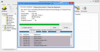 Internet Download Manager 6.07.16 Final + HelpRus