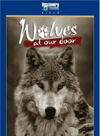    / Wolves at our doors