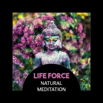 VA - Life Force: Natural Meditation, Total Relaxing, Anxiety Free Life