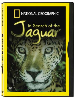    / In Search of the Jaguar