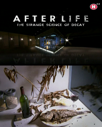 .  .    / After life. The strange science of decay VO