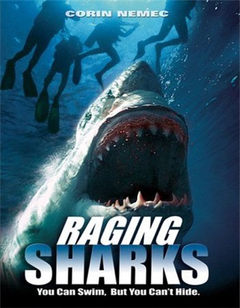  / Raging Sharks MVO