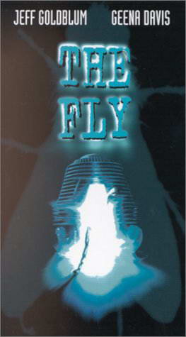  / The fly DVO