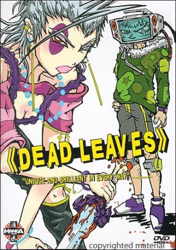 ̸  / Dead Leaves