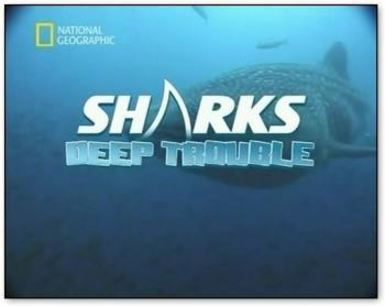 :   / SHARKS: Deep Trouble