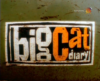    / Big Cat Diary