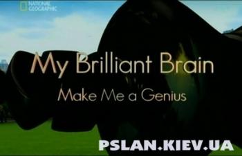   :   /My Brilliant Brain:Make Me a Genius [2007]