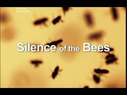   / Silence of the Bees National Geografic