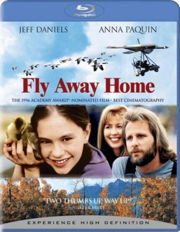   / Fly Away Home