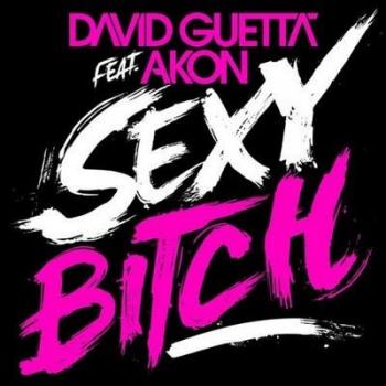 David Guetta Akon - Sexy Bitch