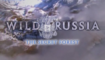   .  / Wild Russia.The Secret Forest