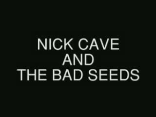 Nick Cave The Bad Seeds - The Videos