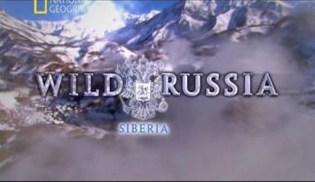   .  / Wild Russia. Syberia