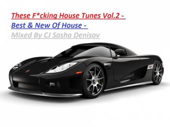 These F*cking House Tunes vol.2 Mixed by CJ Sasha Denisov