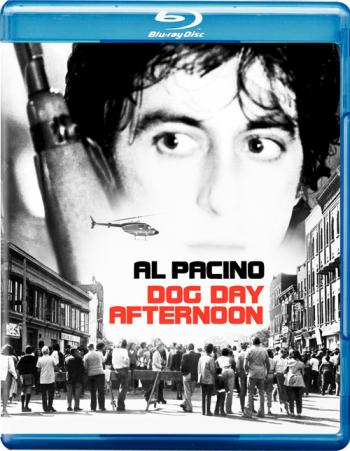   / Dog Day Afternoon