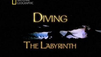    / Diving The Labyrinth