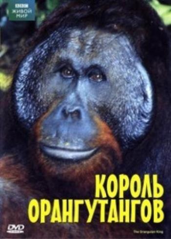  .   / The Natural World. The Orangutan king