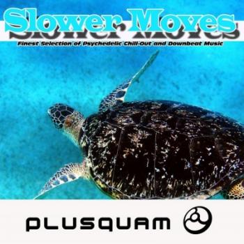 VA Slower Moves Psychedelic Chillout