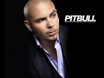 Pitbull - Videography