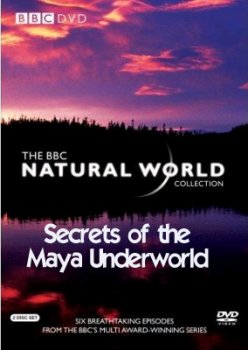    / BBC. Natural World. Secrets of the Maya Underworld