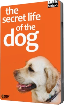 BBC:    / Horizon. The Secret Life of the Dog