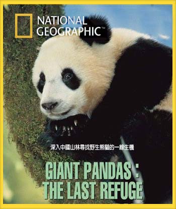  :   / Giant Pandas: The Last Refuge