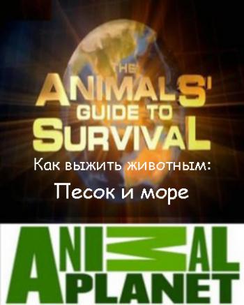 Animal Planet.    (6  7) :    / The Animals' guide to Survival