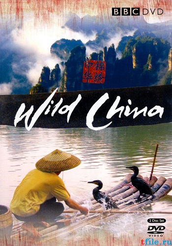   ( 1)   / BBC: Wild China. Heart of the Dragon