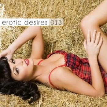 VA - Erotic Desires Volume 013