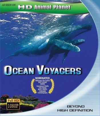   / Ocean Voyagers