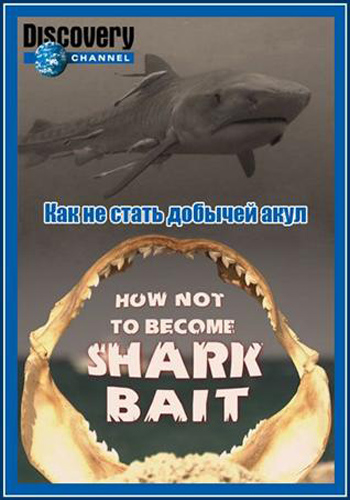 Discovery.      / Discovery. How Not To Become Shark Bait VO