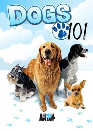    ( 3  17 - 23) / Dogs 101 (part 3 series 17 - 23) VO