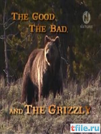 ,    / The Good, The Bad And The Grizzly VO