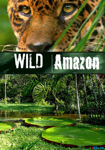    (2   2) / National Geographic Channel: Wild Amazon VO