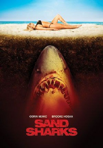   / Sand Sharks MVO