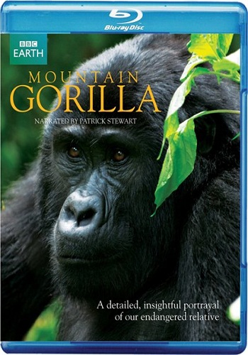 BBC:   / BBC: Mountain Gorilla (3   3) VO