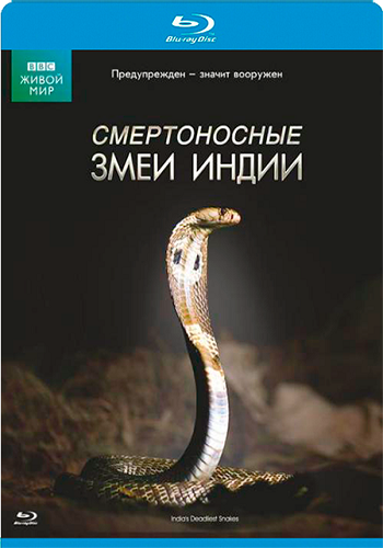 BBC:    / BBC: One Million Snake Bites DVO