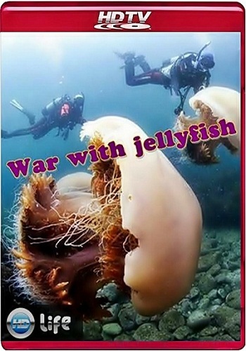    / War with jellyfish VO
