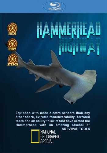  :  - / National Geographic Special: Hammerhead Highway VO