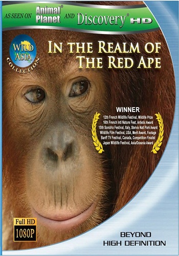  :     / Wild Asia: In the Realm of the Red Ape VO