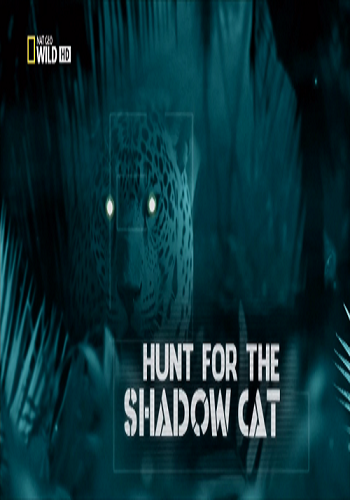     / Hunt for the Shadow Cat VO