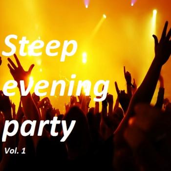 VA - Top Steep evening party vol.1