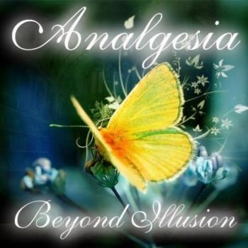 Analgesia - Beyond Illusion