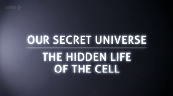  :    / Secret Universe: The Hidden Life of the Cell VO