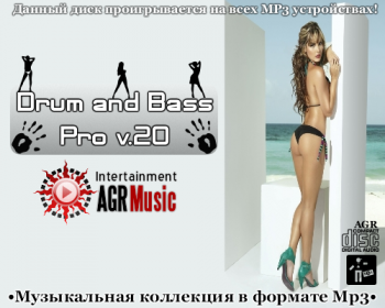 VA - Drum and Bass Pro v.20 from AGR (2013) MP3, 320 kbps