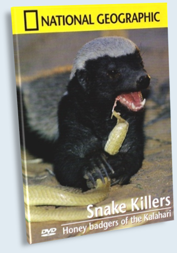 National Geographic: .   / National Geographic: Honey Badgers of the Kalahari. Snake Killers VO