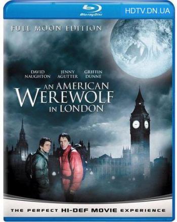     / An American Werewolf in London AVO
